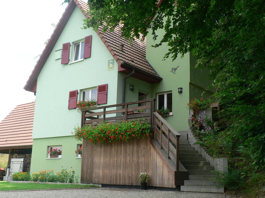 Gite De La Lisiere Du Bois Ueberstrass Szoba fotó
