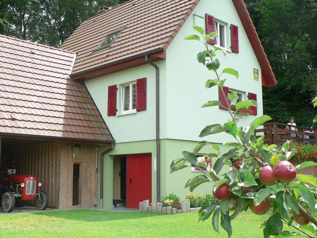 Gite De La Lisiere Du Bois Ueberstrass Szoba fotó